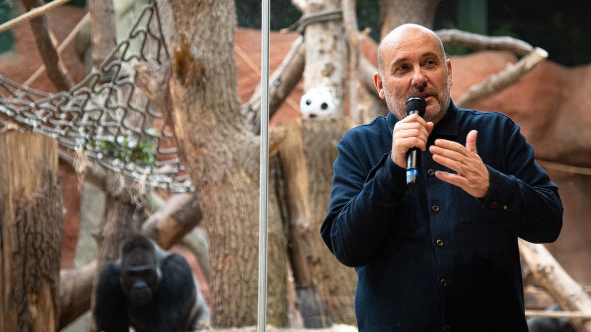 Spor kvůli zoo. Politici se přou ohledně prošetření šikany